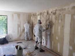 Environmental Consulting for Mold Prevention in Owings Mills, MD